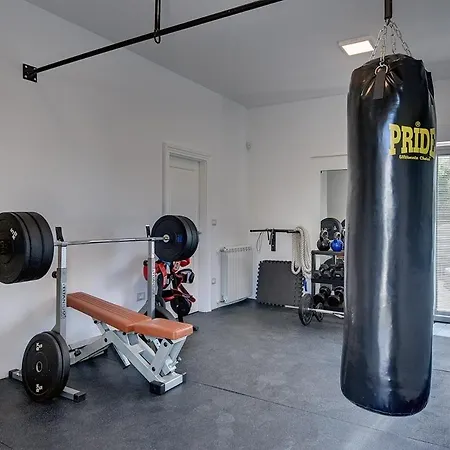 Dream * プレマントゥーラ